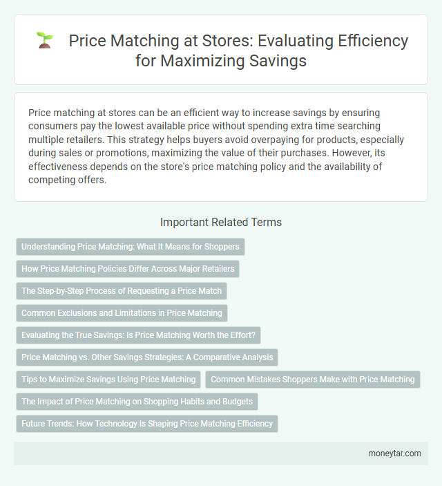 Price Matching at Stores: Evaluating Efficiency for Maximizing Savings