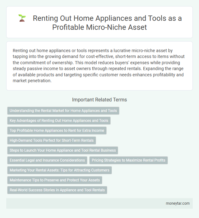 Renting Out Home Appliances and Tools as a Profitable Micro-Niche Asset