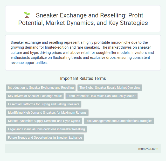 Sneaker Exchange and Reselling: Profit Potential, Market Dynamics, and Key Strategies