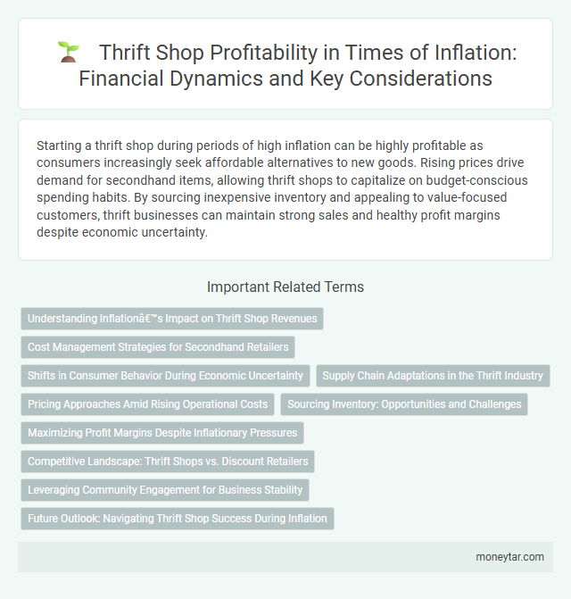 Thrift Shop Profitability in Times of Inflation: Financial Dynamics and Key Considerations