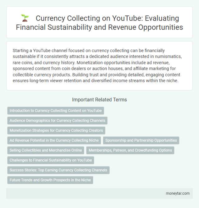 Currency Collecting on YouTube: Evaluating Financial Sustainability and Revenue Opportunities
