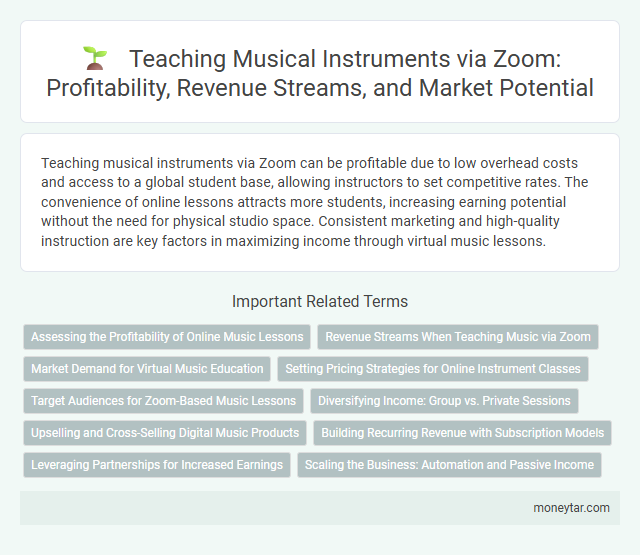 Teaching Musical Instruments via Zoom: Profitability, Revenue Streams, and Market Potential