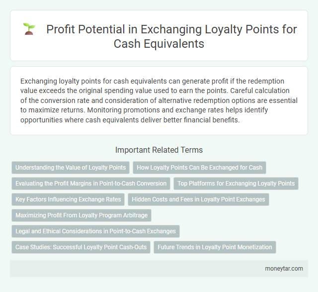 Profit Potential in Exchanging Loyalty Points for Cash Equivalents