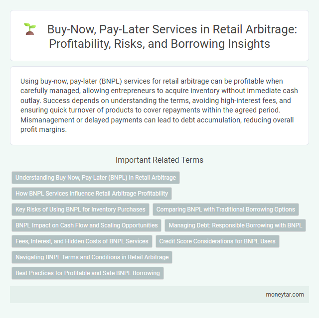 Buy-Now, Pay-Later Services in Retail Arbitrage: Profitability, Risks, and Borrowing Insights