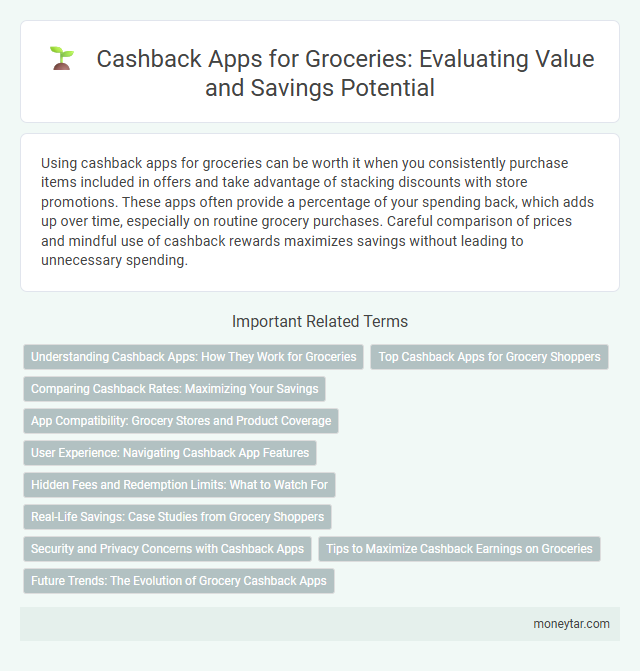 Cashback Apps for Groceries: Evaluating Value and Savings Potential