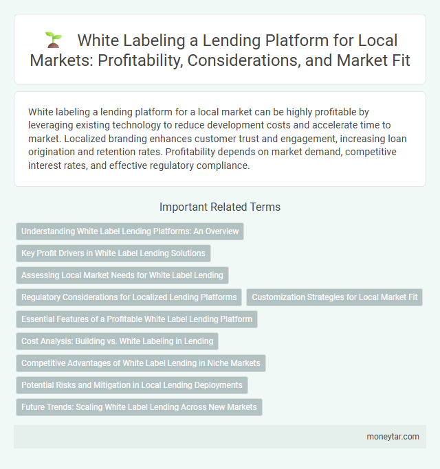 White Labeling a Lending Platform for Local Markets: Profitability, Considerations, and Market Fit