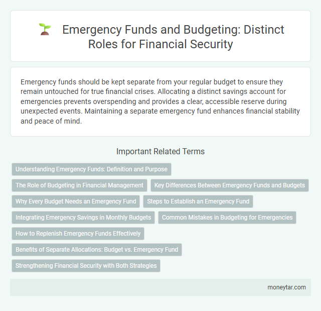 Emergency Funds and Budgeting: Distinct Roles for Financial Security