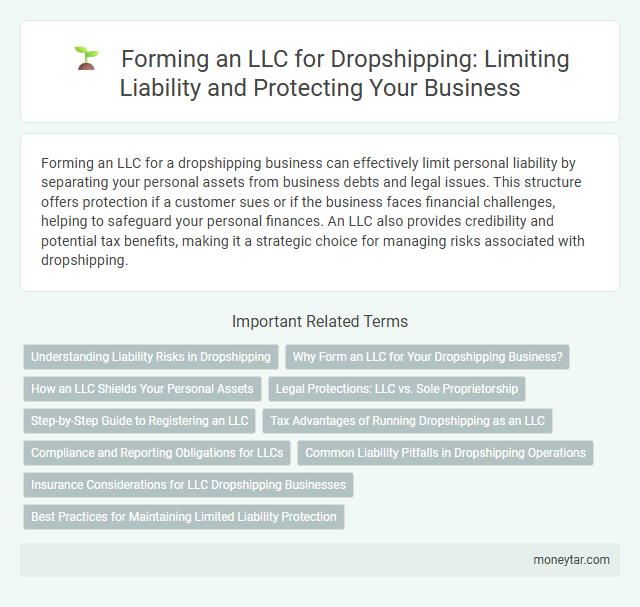 Forming an LLC for Dropshipping: Limiting Liability and Protecting Your Business