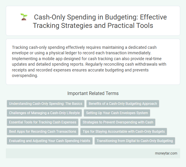 Cash-Only Spending in Budgeting: Effective Tracking Strategies and Practical Tools
