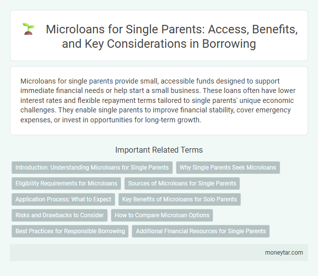 Microloans for Single Parents: Access, Benefits, and Key Considerations in Borrowing