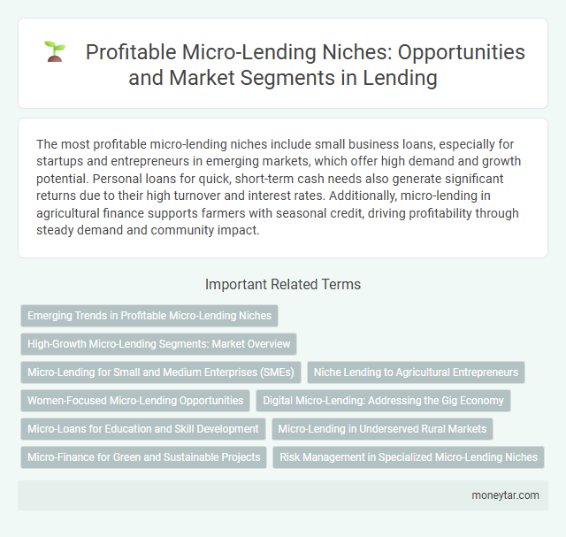 Profitable Micro-Lending Niches: Opportunities and Market Segments in Lending