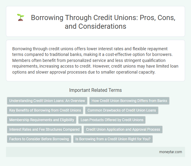 Borrowing Through Credit Unions: Pros, Cons, and Considerations