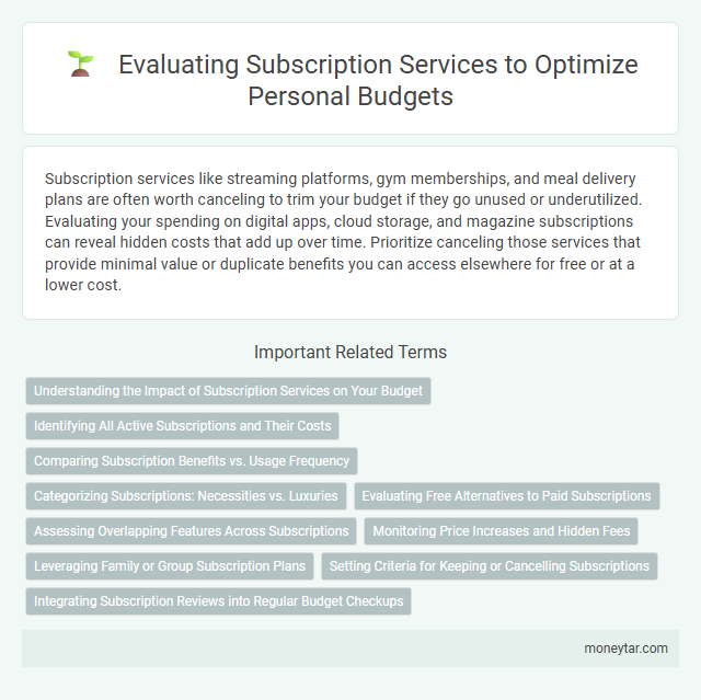 Evaluating Subscription Services to Optimize Personal Budgets