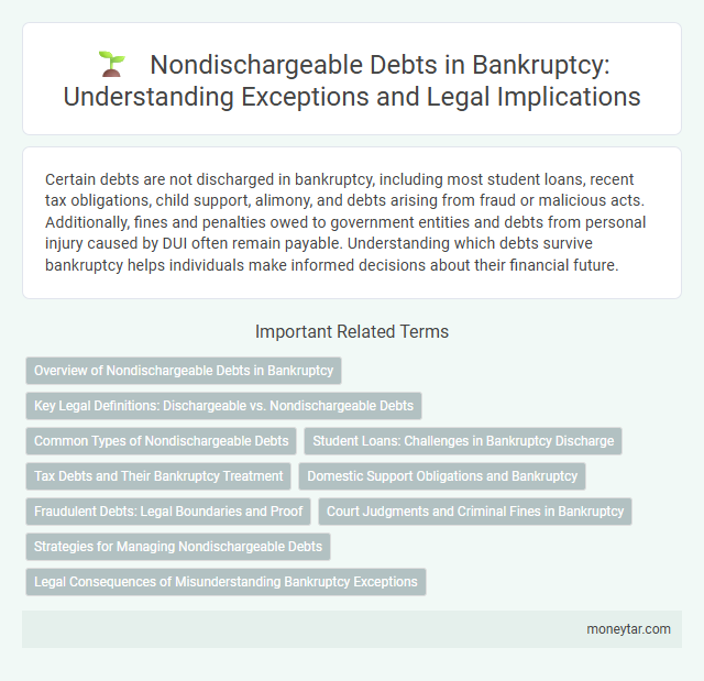 Nondischargeable Debts in Bankruptcy: Understanding Exceptions and Legal Implications