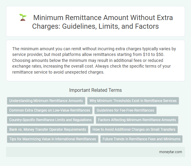 Minimum Remittance Amount Without Extra Charges: Guidelines, Limits, and Factors