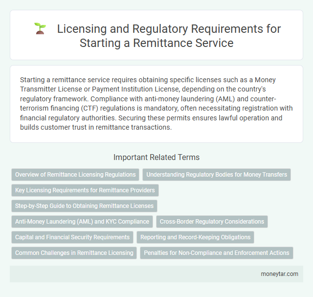 Licensing and Regulatory Requirements for Starting a Remittance Service