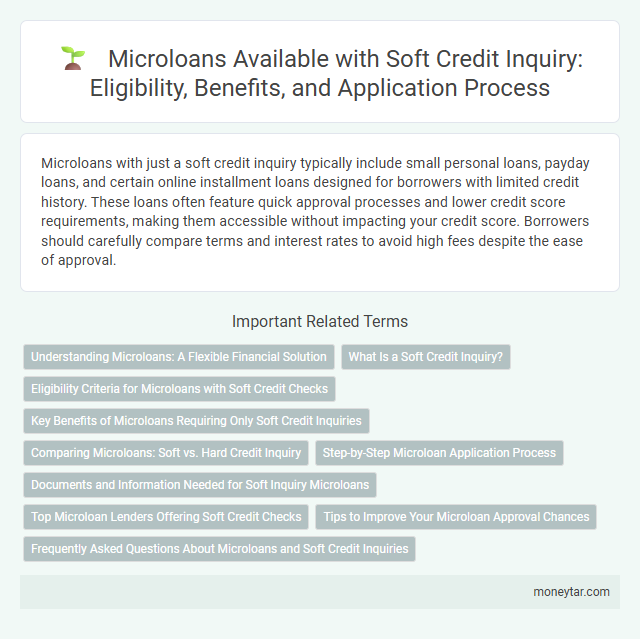 Microloans Available with Soft Credit Inquiry: Eligibility, Benefits, and Application Process