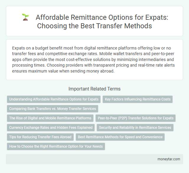 Affordable Remittance Options for Expats: Choosing the Best Transfer Methods