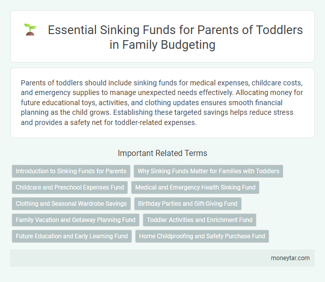Essential Sinking Funds for Parents of Toddlers in Family Budgeting
