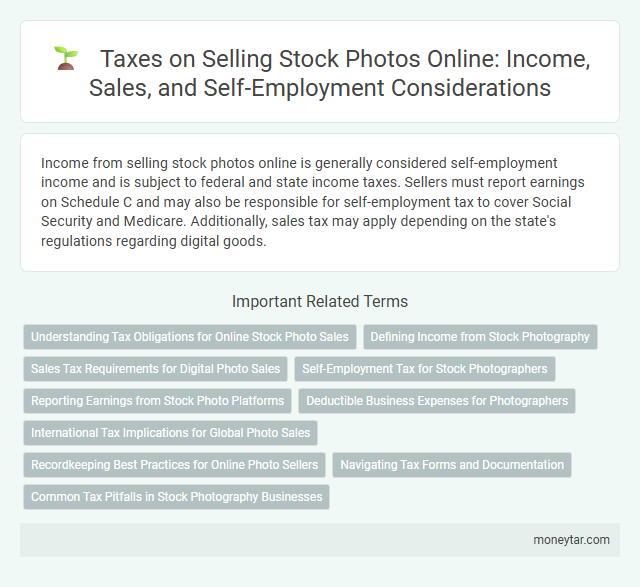 Taxes on Selling Stock Photos Online: Income, Sales, and Self-Employment Considerations