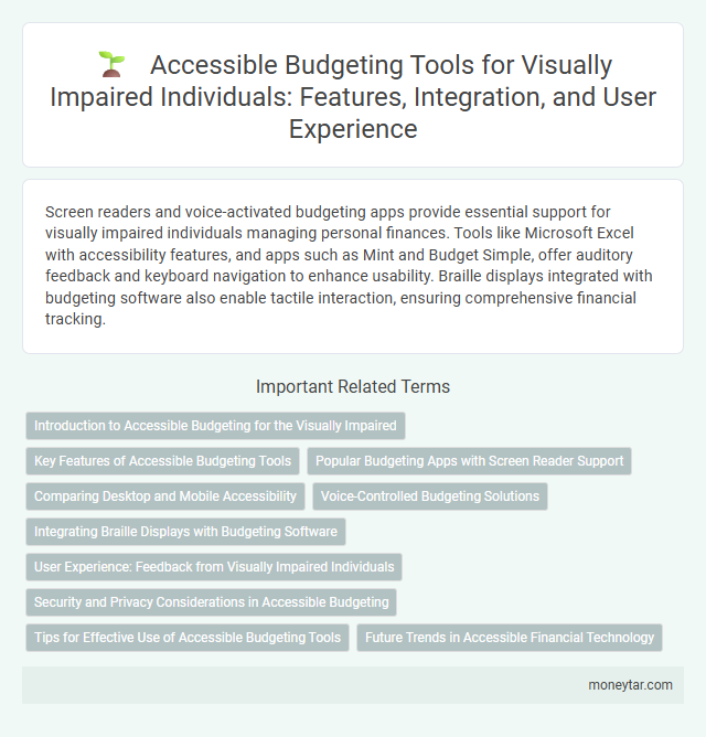 Accessible Budgeting Tools for Visually Impaired Individuals: Features, Integration, and User Experience
