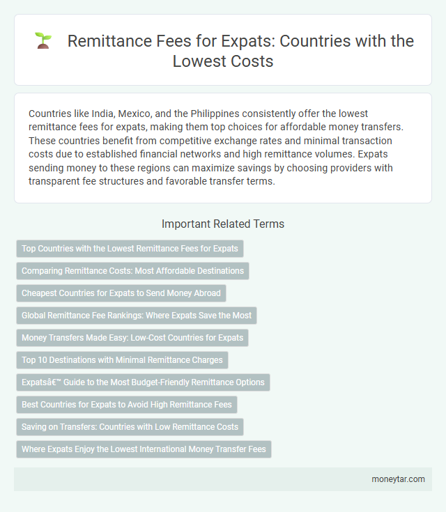 Remittance Fees for Expats: Countries with the Lowest Costs