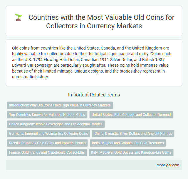 Countries with the Most Valuable Old Coins for Collectors in Currency Markets