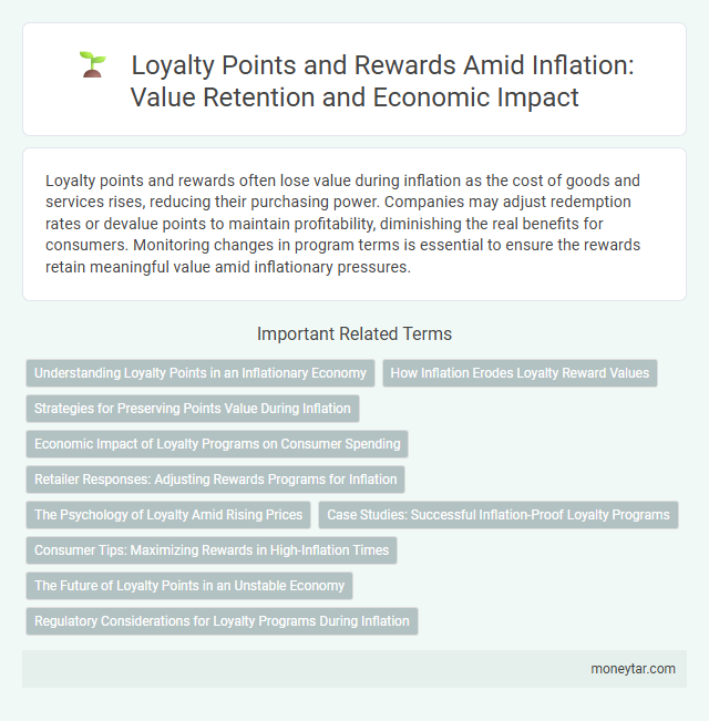 Loyalty Points and Rewards Amid Inflation: Value Retention and Economic Impact