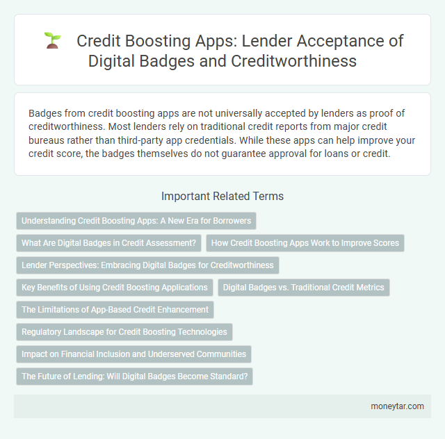 Credit Boosting Apps: Lender Acceptance of Digital Badges and Creditworthiness