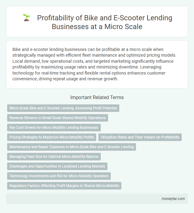 Profitability of Bike and E-Scooter Lending Businesses at a Micro Scale