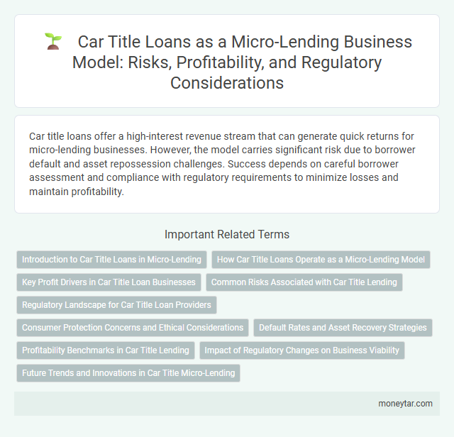 Car Title Loans as a Micro-Lending Business Model: Risks, Profitability, and Regulatory Considerations