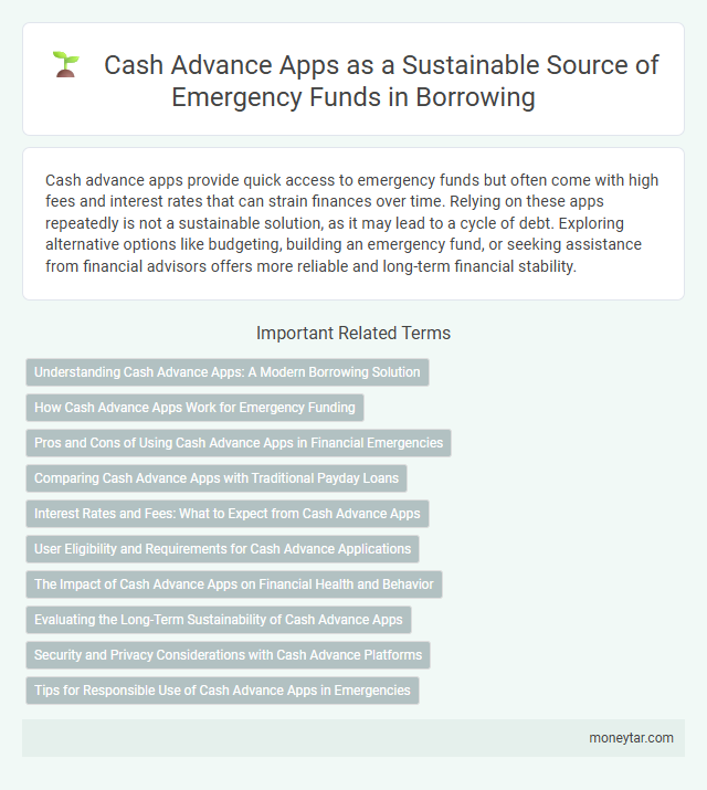 Cash Advance Apps as a Sustainable Source of Emergency Funds in Borrowing