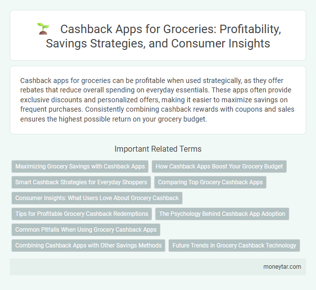 Cashback Apps for Groceries: Profitability, Savings Strategies, and Consumer Insights