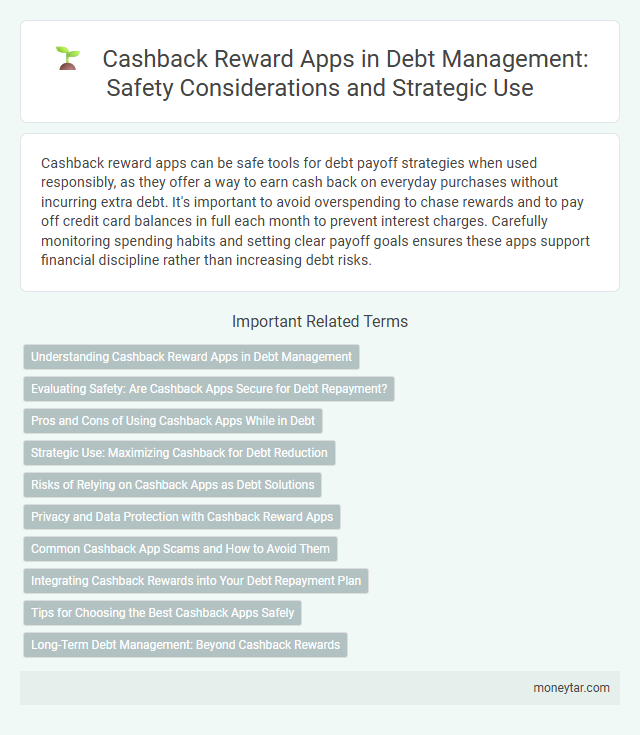 Cashback Reward Apps in Debt Management: Safety Considerations and Strategic Use