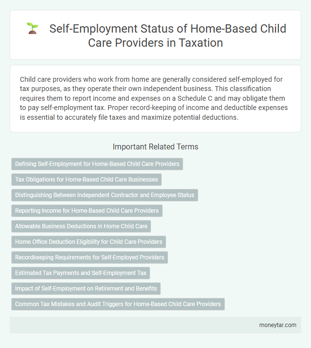 Self-Employment Status of Home-Based Child Care Providers in Taxation