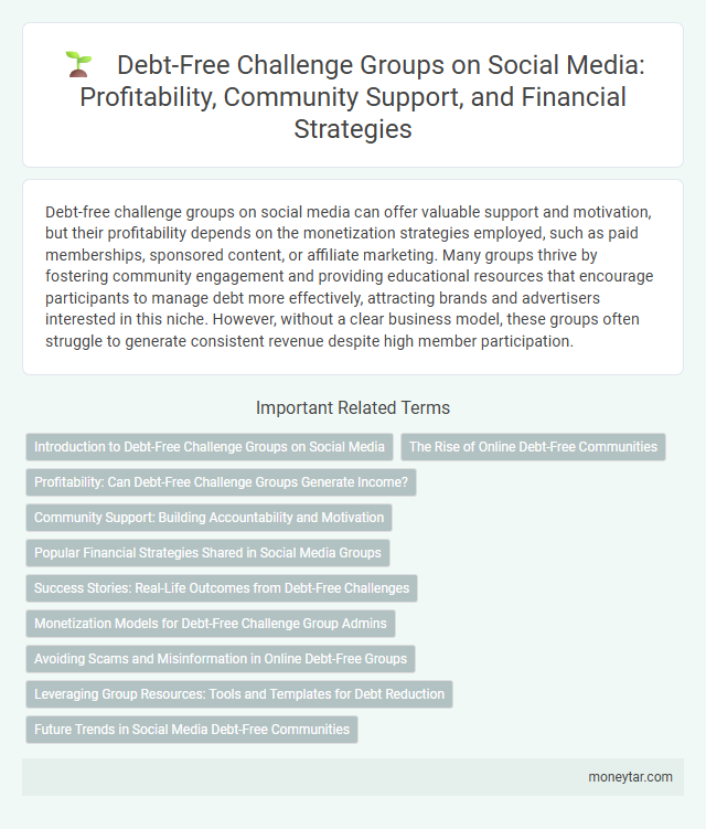 Debt-Free Challenge Groups on Social Media: Profitability, Community Support, and Financial Strategies