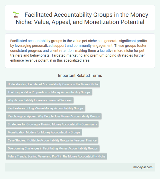Facilitated Accountability Groups in the Money Niche: Value, Appeal, and Monetization Potential