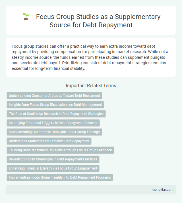 Focus Group Studies as a Supplementary Source for Debt Repayment