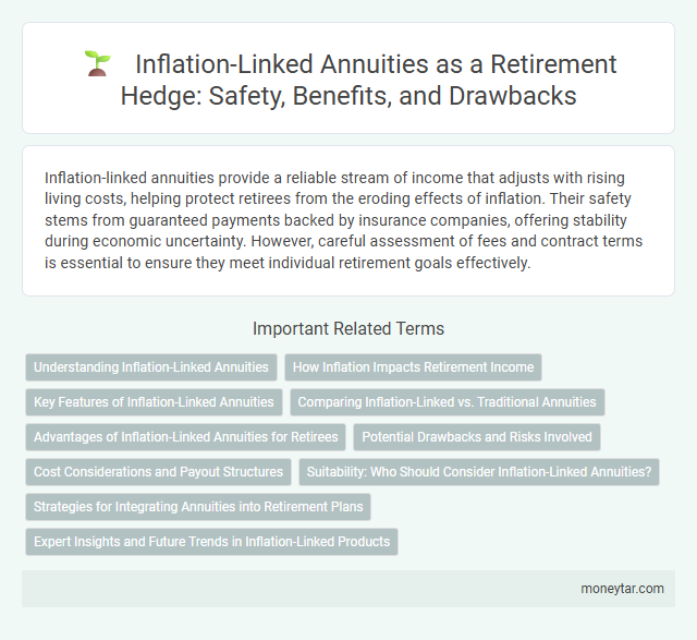 Inflation-Linked Annuities as a Retirement Hedge: Safety, Benefits, and Drawbacks