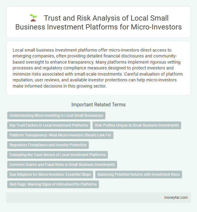 Trust and Risk Analysis of Local Small Business Investment Platforms for Micro-Investors