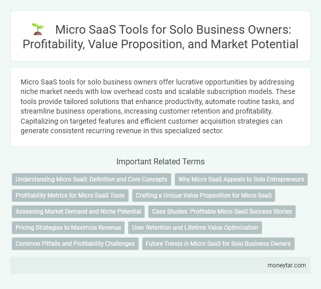 Micro SaaS Tools for Solo Business Owners: Profitability, Value Proposition, and Market Potential