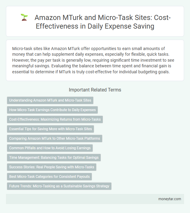 Amazon MTurk and Micro-Task Sites: Cost-Effectiveness in Daily Expense Saving