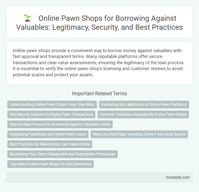 Online Pawn Shops for Borrowing Against Valuables: Legitimacy, Security, and Best Practices