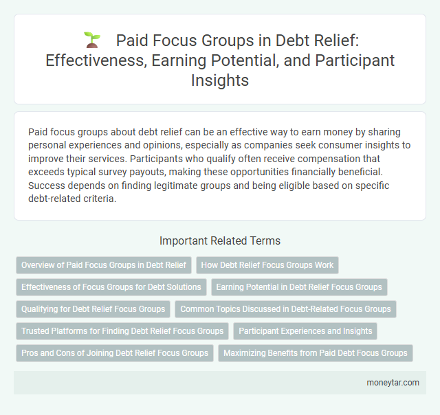 Paid Focus Groups in Debt Relief: Effectiveness, Earning Potential, and Participant Insights