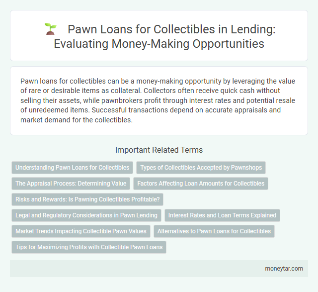 Pawn Loans for Collectibles in Lending: Evaluating Money-Making Opportunities
