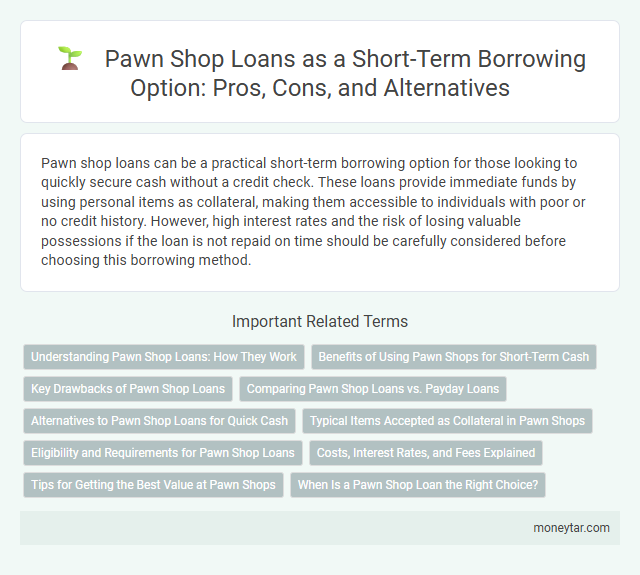 Pawn Shop Loans as a Short-Term Borrowing Option: Pros, Cons, and Alternatives