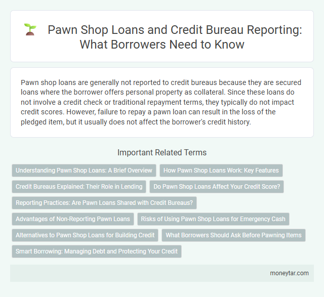 Pawn Shop Loans and Credit Bureau Reporting: What Borrowers Need to Know