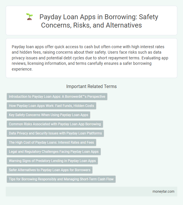 Payday Loan Apps in Borrowing: Safety Concerns, Risks, and Alternatives