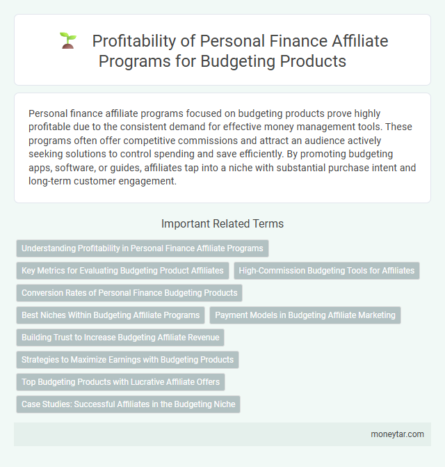Profitability of Personal Finance Affiliate Programs for Budgeting Products