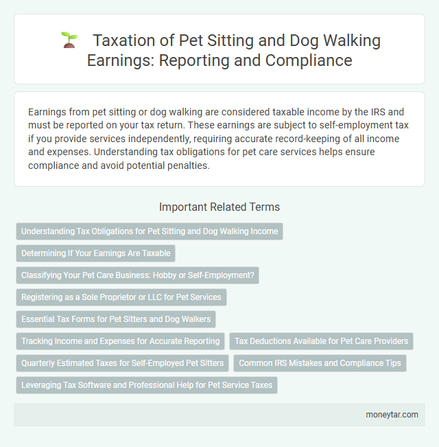 Taxation of Pet Sitting and Dog Walking Earnings: Reporting and Compliance
